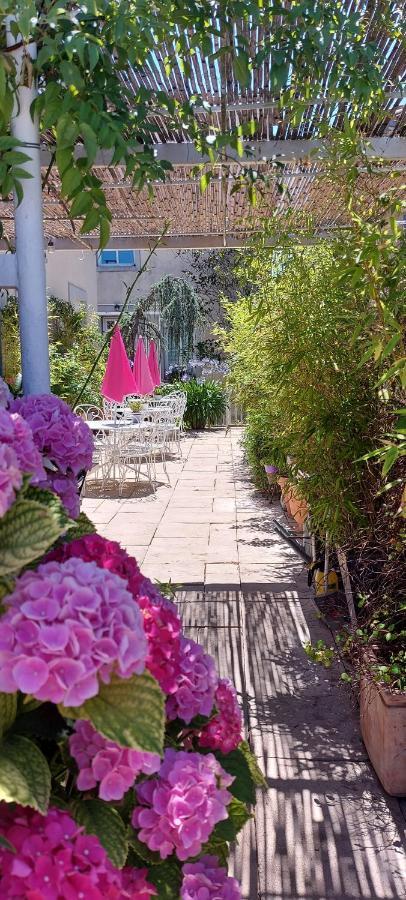 La Belle Vie B&B Montréal Eksteriør billede
